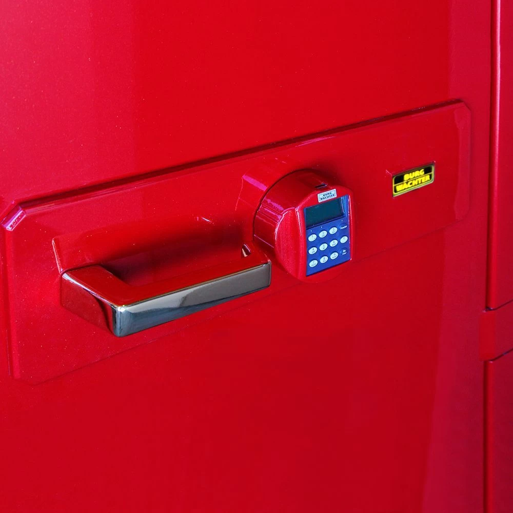  BurgWachter E 542 E lak