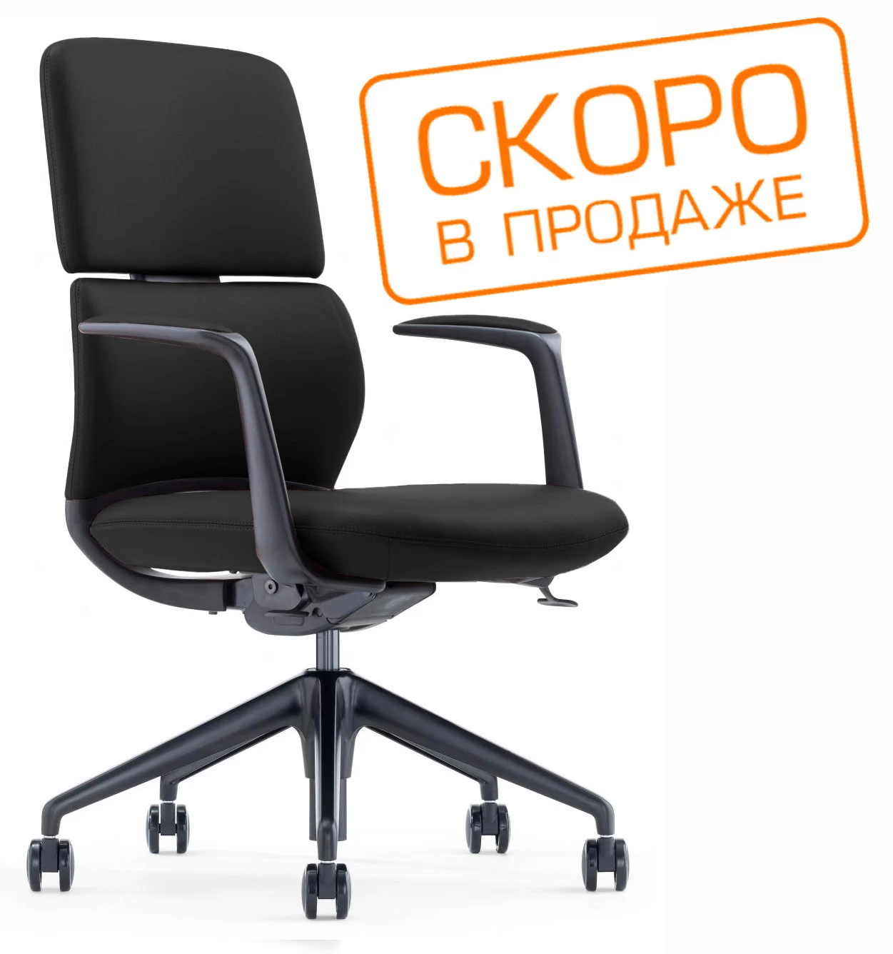   Venetto-M FK013-B12 (  )