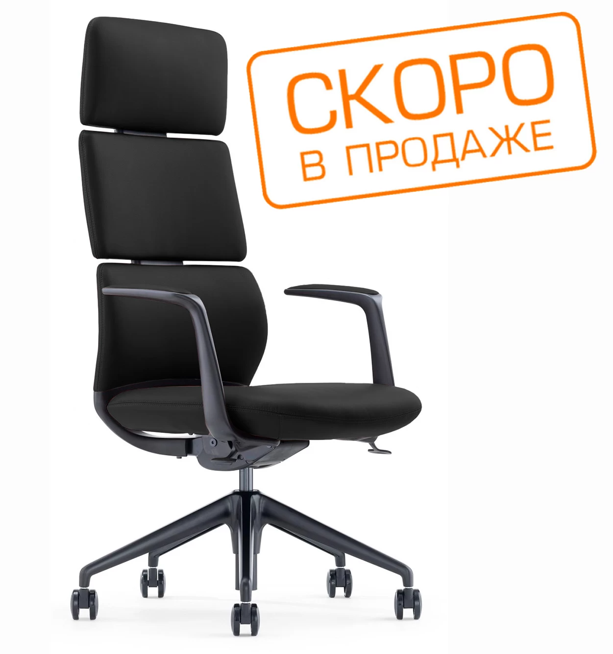  Venetto FK013-A12 (  )