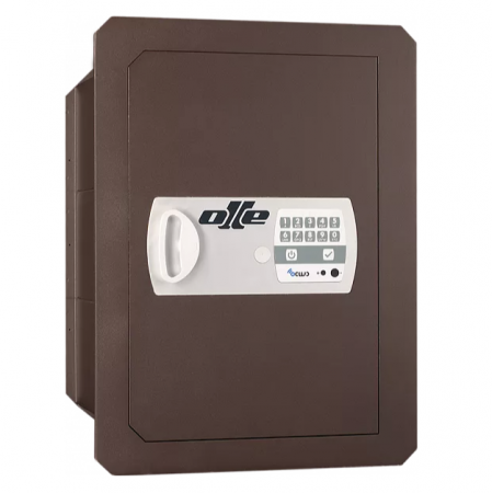  OLLE 1004E25    