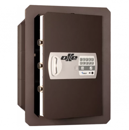  OLLE 1004E25    